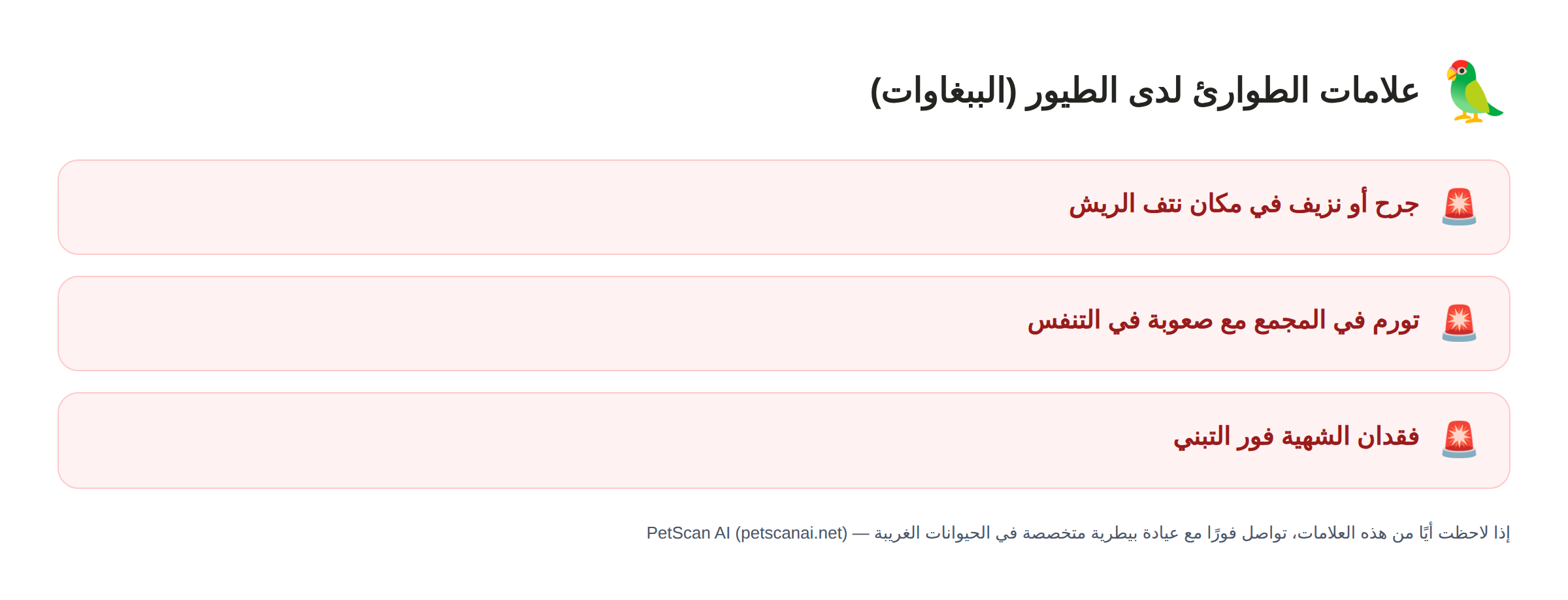 علامات الطوارئ لدى الطيور (الببغاوات): جرح أو نزيف في مكان نتف الريش، تورم في المجمع مع صعوبة في التنفس، فقدان الشهية فور التبني — PetScan AI