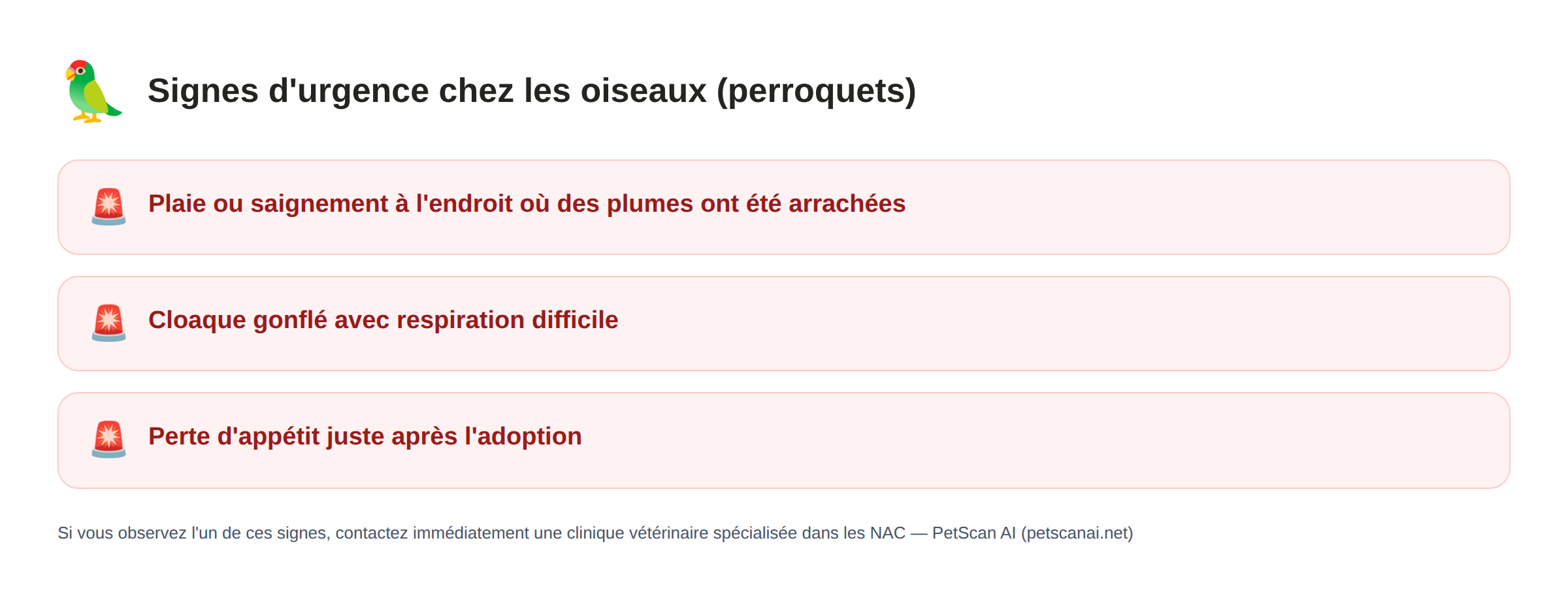 Oiseaux (perroquets) signes d'urgence : plaie ou saignement à l'endroit où des plumes ont été arrachées, cloaque gonflé avec respiration difficile, perte d'appétit juste après l'adoption — PetScan AI