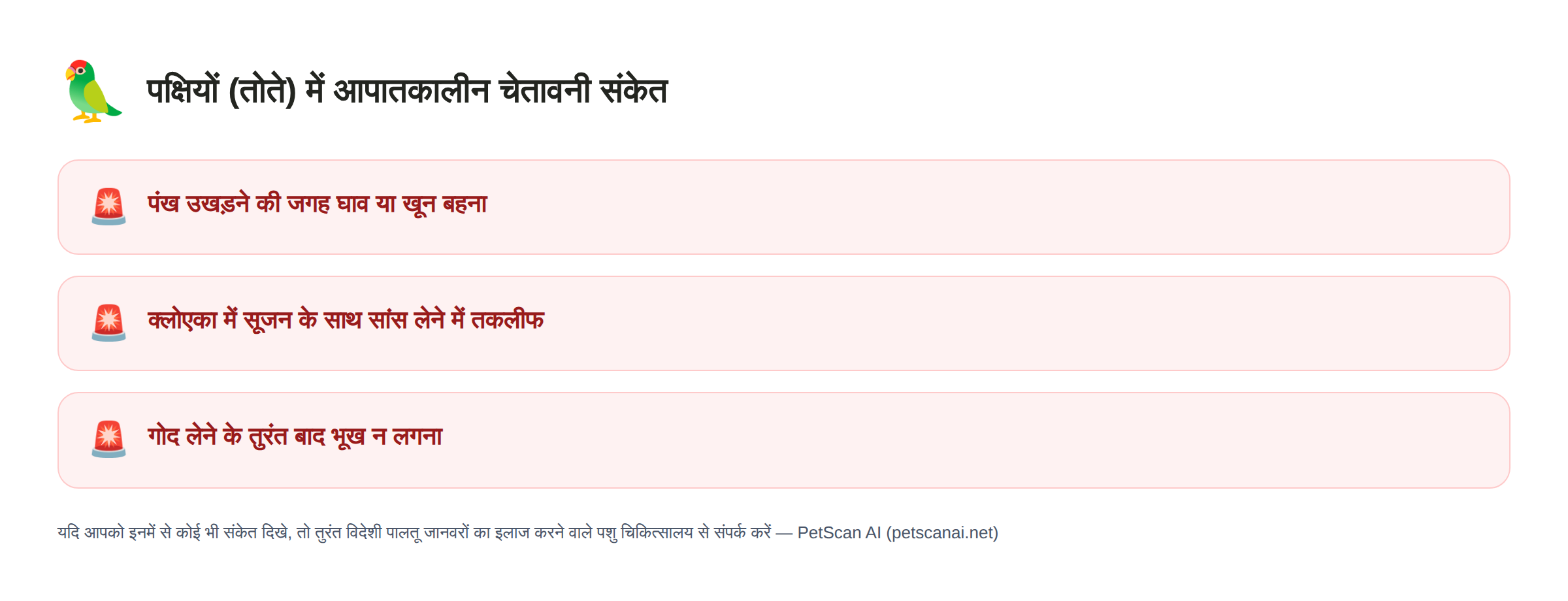 पक्षियों (तोते) में आपातकालीन चेतावनी संकेत: पंख उखड़ने की जगह घाव या खून बहना, क्लोएका में सूजन के साथ सांस लेने में तकलीफ, गोद लेने के तुरंत बाद भूख न लगना — PetScan AI
