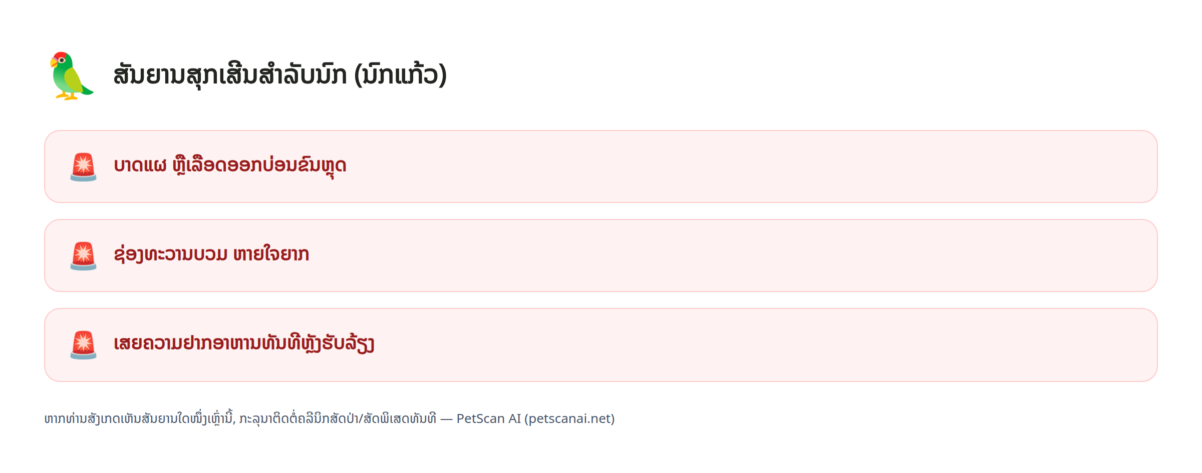 ສັນຍານສຸກເສີນສຳລັບນົກ (ນົກແກ້ວ): ບາດແຜ ຫຼືເລືອດອອກບ່ອນຂົນຫຼຸດ, ຊ່ອງທະວານບວມ ຫາຍໃຈຍາກ, ເສຍຄວາມຢາກອາຫານທັນທີຫຼັງຮັບລ້ຽງ — PetScan AI