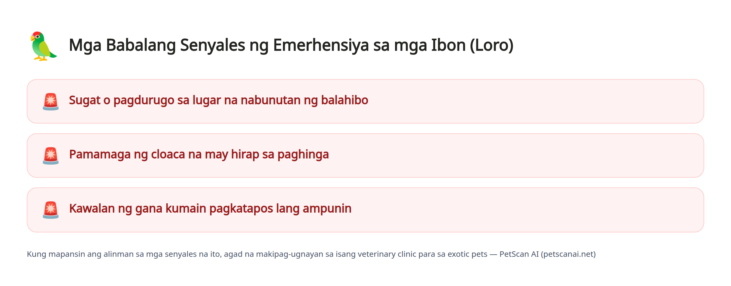 Mga Babalang Senyales ng Emerhensiya sa mga Ibon (Loro): Sugat o pagdurugo sa lugar na nabunutan ng balahibo, Pamamaga ng cloaca na may hirap sa paghinga, Kawalan ng gana kumain pagkatapos lang ampunin — PetScan AI