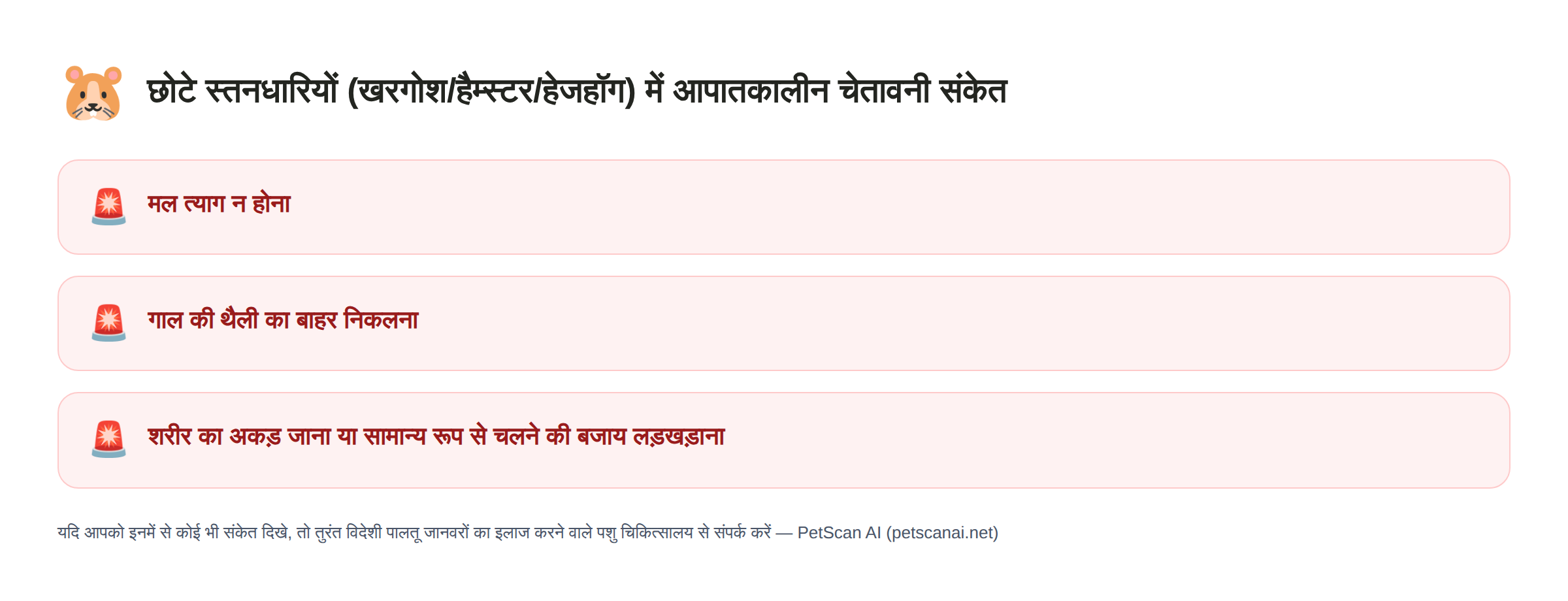 छोटे स्तनधारियों (खरगोश/हैम्स्टर/हेजहॉग) में आपातकालीन चेतावनी संकेत: मल त्याग न होना, गाल की थैली का बाहर निकलना, शरीर का अकड़ जाना या सामान्य रूप से चलने की बजाय लड़खड़ाना — PetScan AI